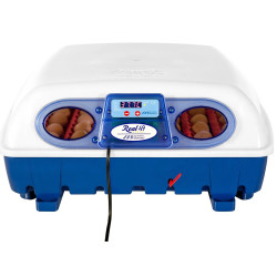 Inkubator do jaj BOROTTO REAL 49