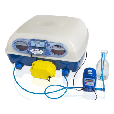 W pełni automatyczna inkubatorka do jaj BOROTTO REAL 49 EXPERT