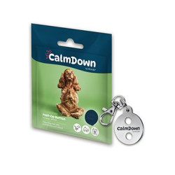 Zestaw CalmDown Dog Tag metalowy wisiorek + 1 guzik KRUUSE - DOG