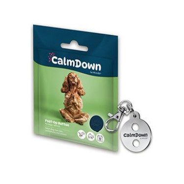 Zestaw CalmDown Dog Tag metalowy wisiorek + 1 guzik KRUUSE - DOG