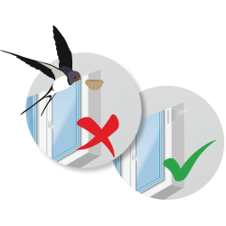 Zapobieganie gniazdowaniu ptaków na oknach 