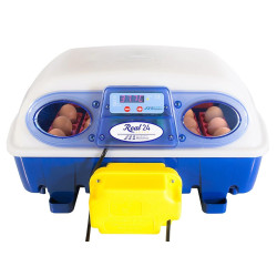 Inkubator do jaj BOROTTO REAL 24 AUTOMATIC
