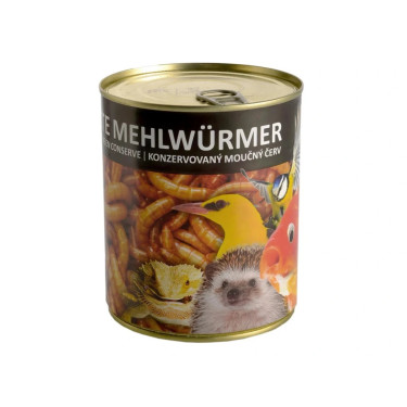 Mącznik młynarek - konserwowy (490g)