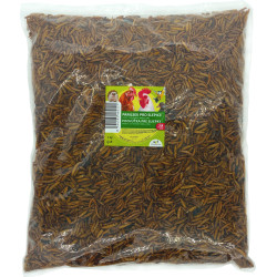 Przysmak dla kur 1 kg