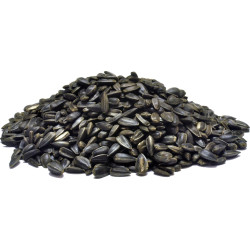 Słoneczniki 3 kg