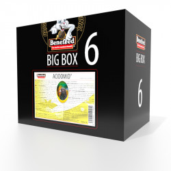 ACIDOMID gołąb 6000 ML BIGBOX