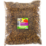 Stratiomys larwy 1kg