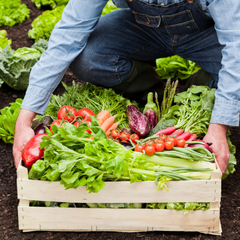 Dlaczego żywności organiczne są naprawdę lepsze?  