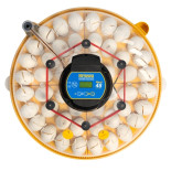 BRINSEA Maxi 48 Advance - automatyczna inkubatorka dla kur i gęsi