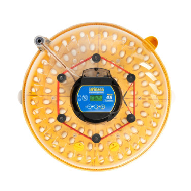 BRINSEA Maxi 48 Zoologica - specjalistyczny inkubator dla papug i ptaków egzotycznych