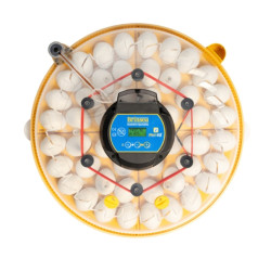 BRINSEA Maxi 48 EX - w pełni automatyczna inkubatorka dla kur, przepiórek i gęsi