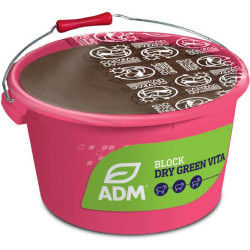 MINERALNY MOLASSED LIZ BLOCK SUSZONY GREEN VITA - Preparat na poród i okres zasuszenia