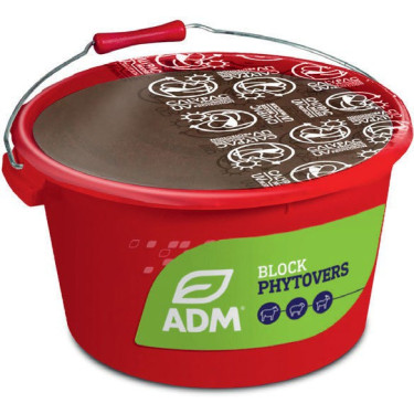 MINERALNE MOLASSED LIZ BLOCK PHYTOVERS Organic - Spokojne pastwisko bez pasożytów