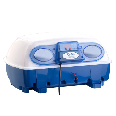 Inkubator do jaj BOROTTO REAL 24