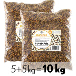 Stratiomys larwy 10 kg