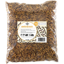 Stratiomys larwy 5 kg