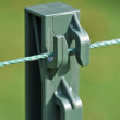 Zestaw ogrodzenia elektrycznego dla psa, kota, królika - zasilanie sieciowe - kabel 100 m