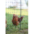 Siatka elektryczna dla drobiu AKO PoultryNet Premium 25 m, 106 cm, zielona, podwójny grot