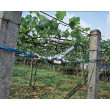 Wciągarka linowa dźwigniowa KERBL 37117 HAND POWER PULLER 3 m / 1250 kg