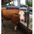 Drapak dla bydła Euro Farm ze sprężyną