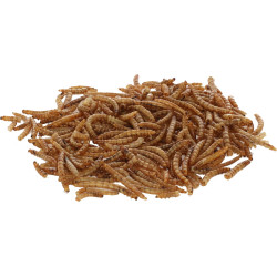 Suszone larwy mącznika młynarka, 900 g, Kerbl