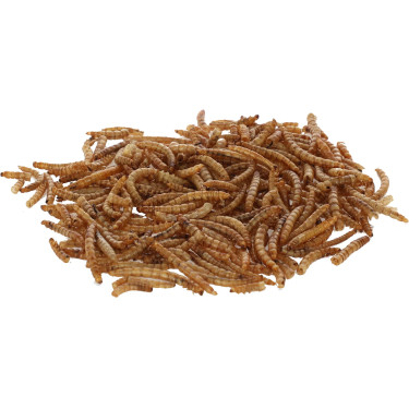 Suszone larwy mącznika młynarka, 900 g, Kerbl