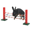Skok agility dla gryzoni