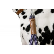 Smycz dla psa Kerbl Phoenix, niebieska krótka, 9 mm x 35 cm  