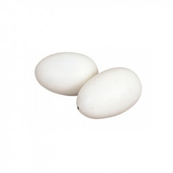 Większe sztuczne jaja, podstawa dla większego drobiu, plastik