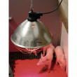 Promiennik podczerwieni - grzewcza lampa na podczerwień z szerokim kapeluszem, kabel 5 m