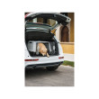 Gulliver Touring – dzielona transportera dla psów i kotów, 80×58,5×62 cm, oryginał
