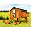 Zestaw automatycznego otwierania i zamykania kurnika CHICKEN GUARD EXTREME 25x30