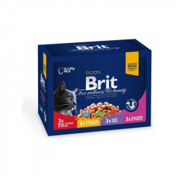 BRIT Premium Cat  Family  saszetka 1200g (12x100g)