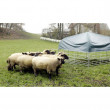 Mobilne schronisko dla owiec i kóz z plandeką 2,75 x 2,75 m