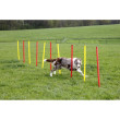 Przeszkody agility Kerbl dla psów, zestaw, 3 rodzaje