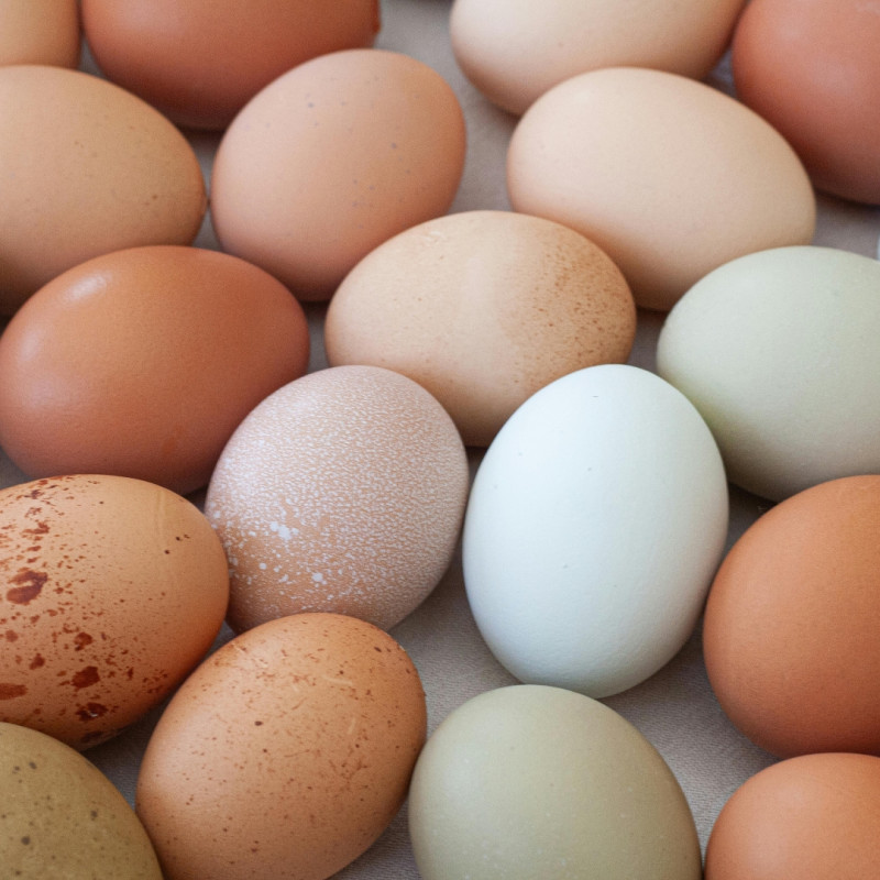 Kura wielkanocna: kolorowe jajka bez farbowania