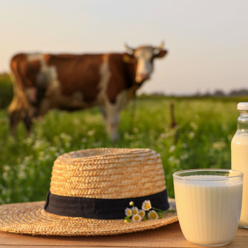 Co wpływa na smak mleka?