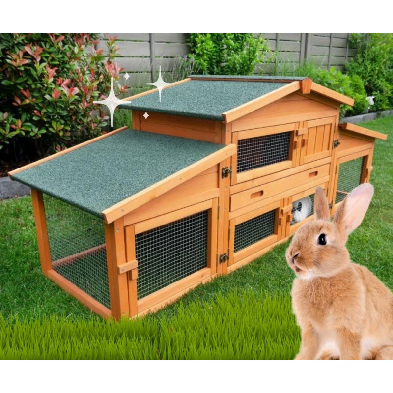 Porady, jak zacząć hodować króliki w ogrodzie