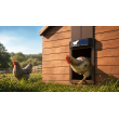 Automatyczne solarne drzwiczki do kurnika RUN-CHICKEN Eternal