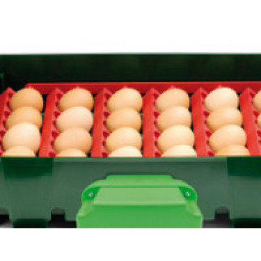 Zestaw uchwytów na jajka do wylęgarni Covina/ET49, Real 49