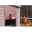 Automatyczne otwieranie i zamykanie kurnika EasyProtect 30x33 ROSE