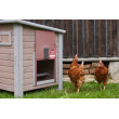 Automatyczne otwieranie i zamykanie kurnika EasyProtect 30x33 ROSE